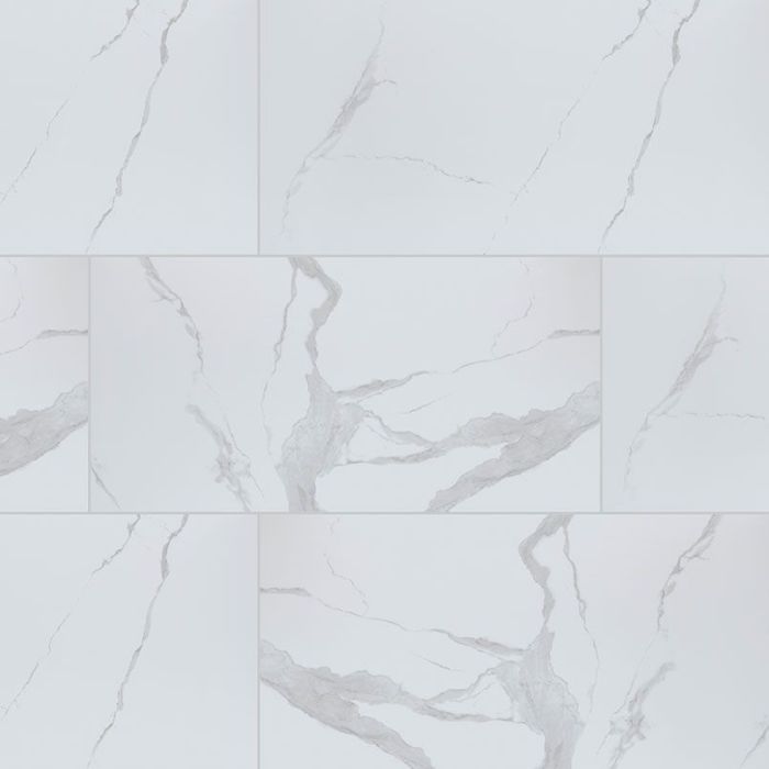 Eden Statuary 24 x 48 Polished Porcelain Tile