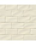 Antique White Subway 3 x 6 Tile