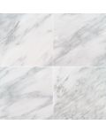 Arabescato Carrara 18" x 18" Polished Marble