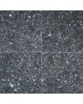 Blue Pearl 12" x 12" Granite Tile
