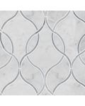 Carrara White Ellipsis Polished Tile