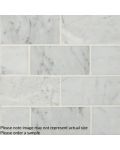 Carrara White 3" x 6" Subway Tile
