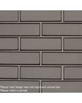 Chapagne Bevel 2" x 6" x 8MM Subway Tile