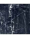 Black With Vein 12" x 12" Marble Tile