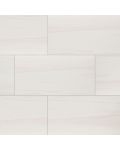 Eden Dolomite 12 x 24 Matte Porcelain Tile