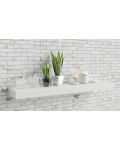 Vienna Cloud 42" Floating Shelf
