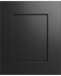 Madison Black Shaker Sample Door