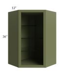 Midtown Hunter Green Shaker 24x36 Corner Wall Cabinet (No Door) To Be Used With A Glass Door