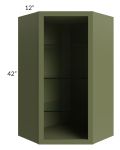 Midtown Hunter Green Shaker 24x42 Corner Wall Cabinet (No Door) To Be Used With A Glass Door