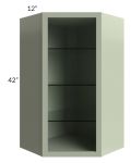 Midtown Pistachio Green Shaker 24x42 Corner Wall Cabinet (No Door) To Be Used With A Glass Door