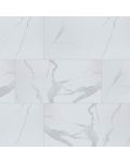 Eden Statuary 24 x 48 Polished Porcelain Tile